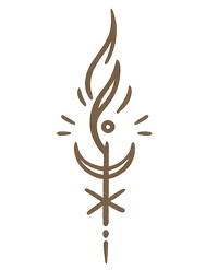 Not a Catalog  Brand