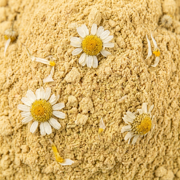 Chamomile